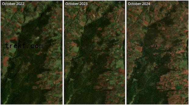 Satellite imagery from Planet Labs shows o<em></em>ngoing deforestation of primary forest in Olpusimoru Forest Reserve.