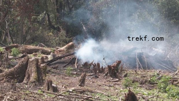 A fire burns in a deforested area of Olpusimoru Forest Reserve, which is part of the Mau Forest. Image by Keit Silale for Mongabay.