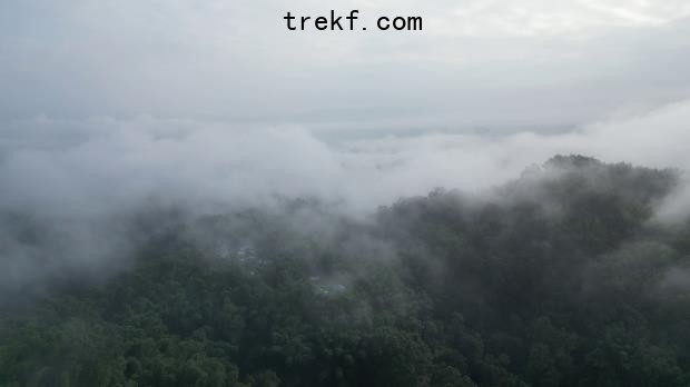 Forests in the Thawthi Taw-Oo Indigenous Park. Image courtesy of the Thawthi Taw-Oo Indigenous Park Committee.