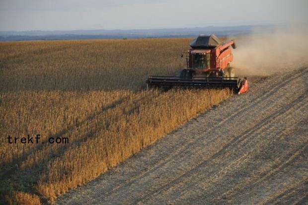 A harvester harvesting soy in Brazil.