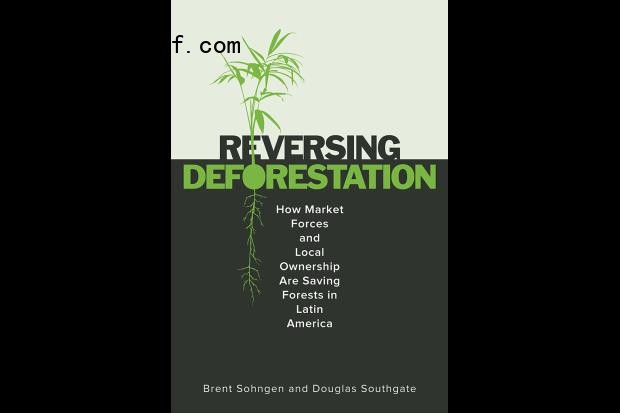 Reversing Deforestation: How Market Forces and Local Ownership Are Saving Forests in Latin America