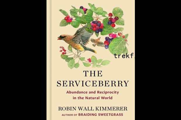 The Serviceberry: Abundance and Reciprocity in the Natural World